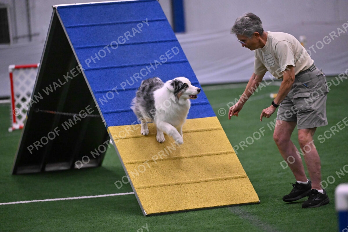 Sunny-Claudia-Brydon-10595