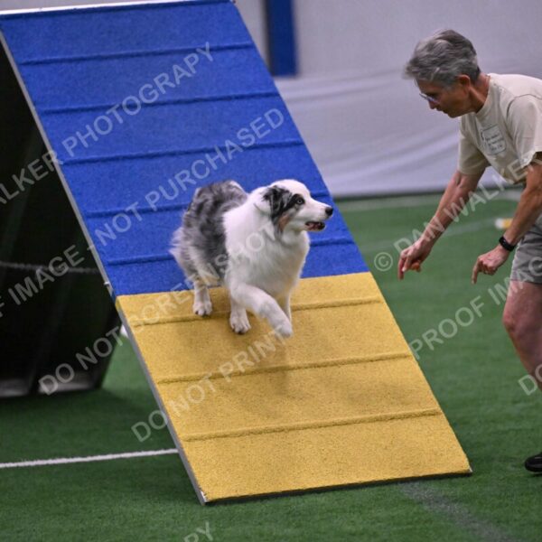 Sunny-Claudia-Brydon-10595