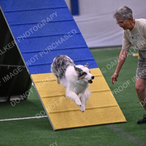 Sunny-Claudia-Brydon-10596