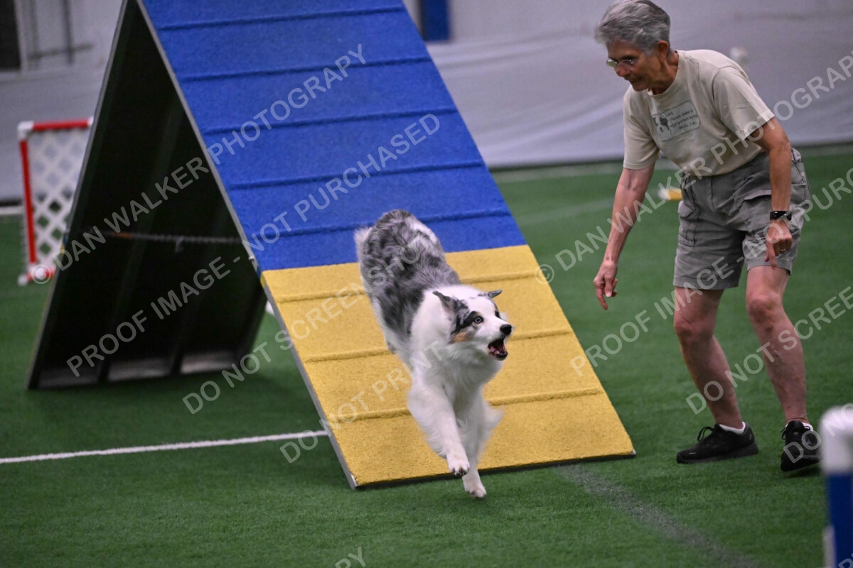 Sunny-Claudia-Brydon-10597