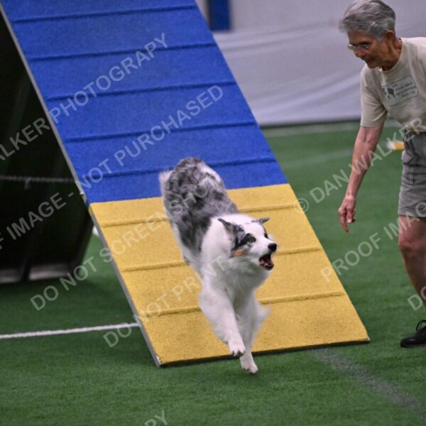 Sunny-Claudia-Brydon-10597