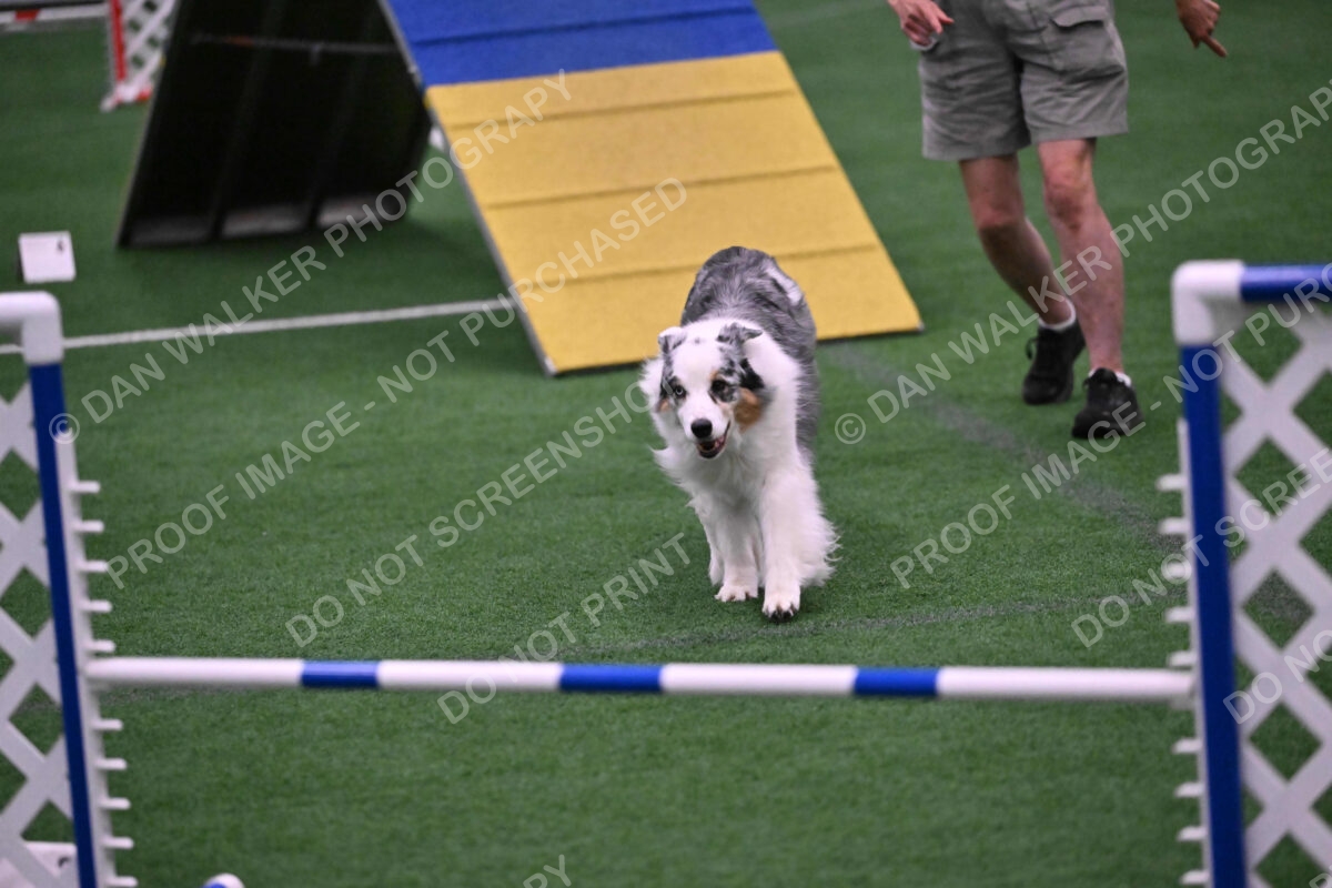 Sunny-Claudia-Brydon-10598