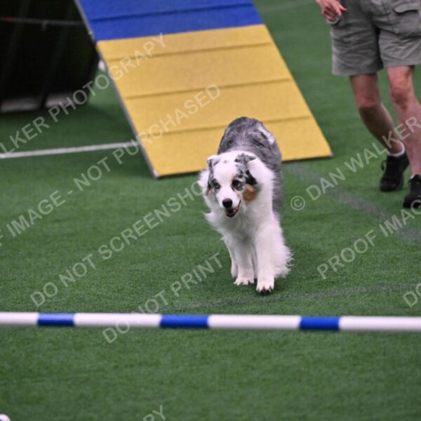 Sunny-Claudia-Brydon-10598