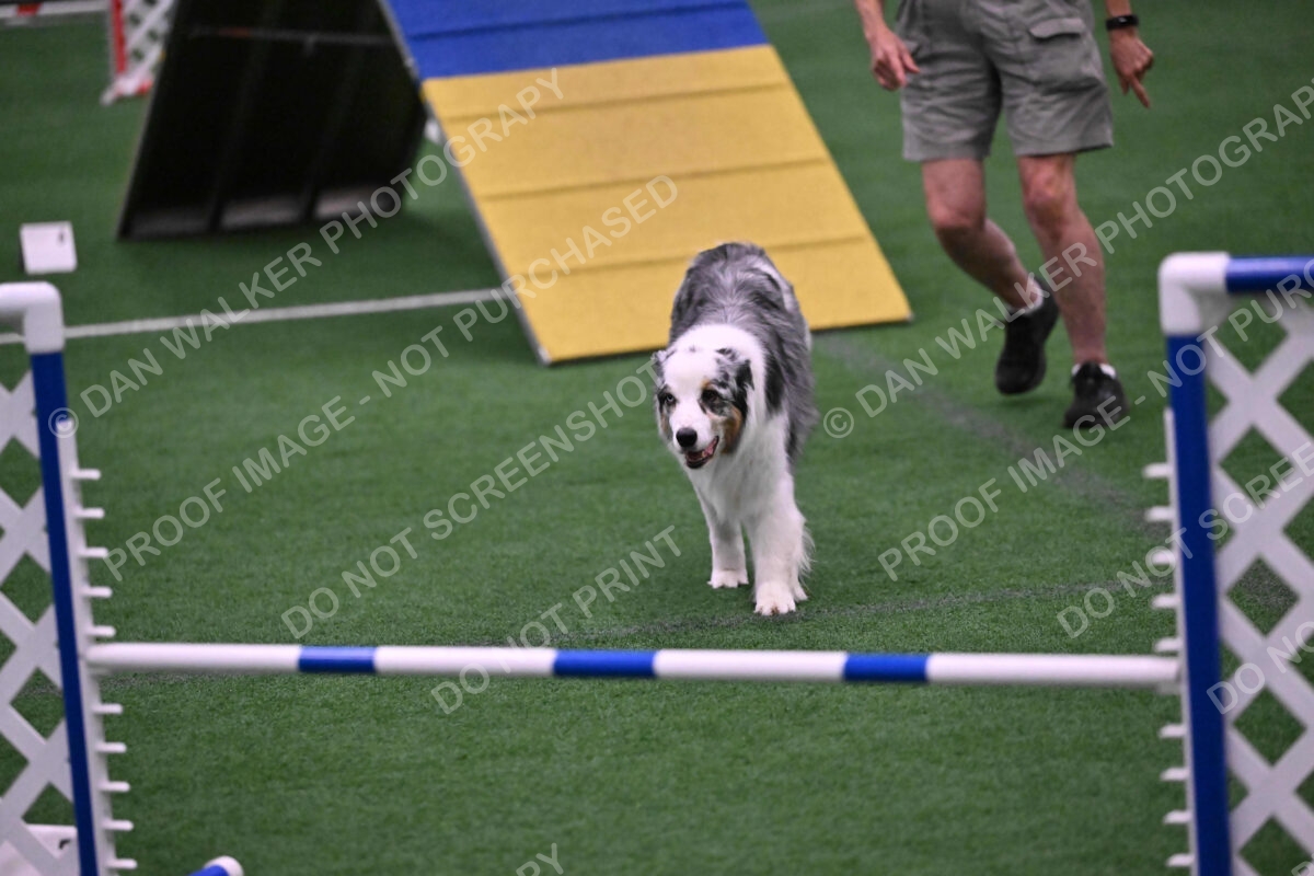 Sunny-Claudia-Brydon-10599