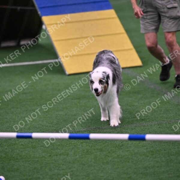 Sunny-Claudia-Brydon-10599