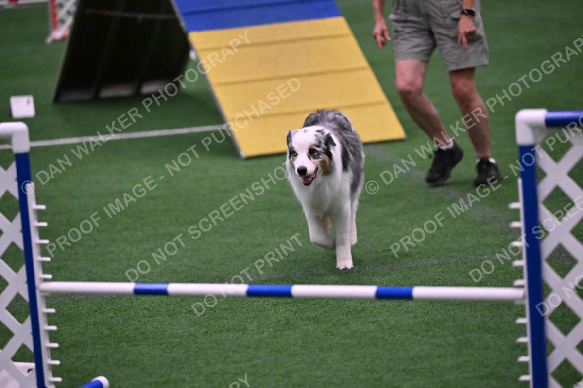 Sunny-Claudia-Brydon-10600