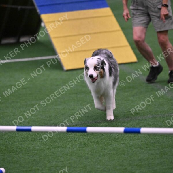 Sunny-Claudia-Brydon-10600