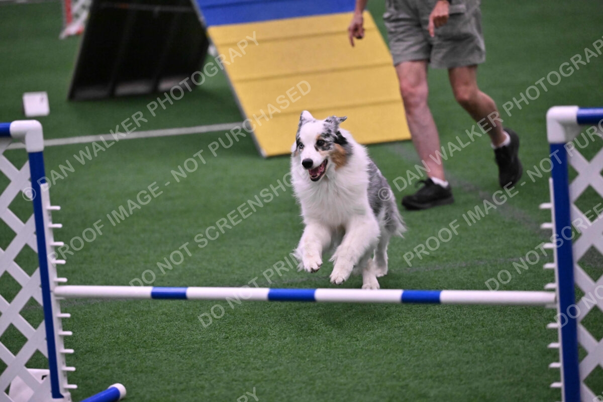 Sunny-Claudia-Brydon-10601