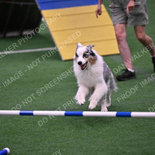 Sunny-Claudia-Brydon-10601