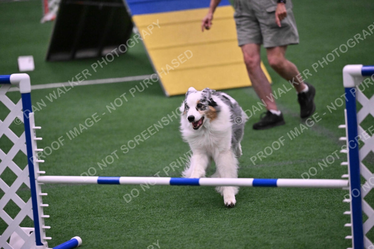 Sunny-Claudia-Brydon-10602