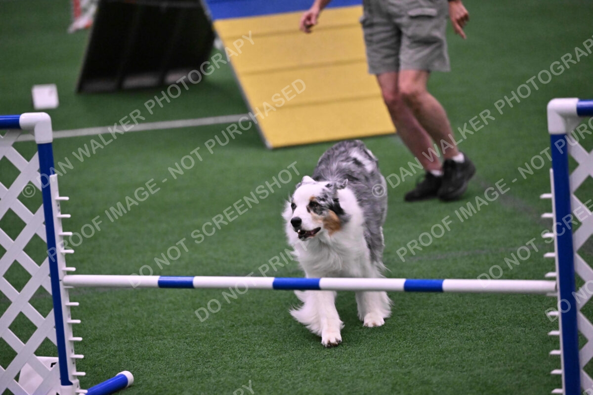 Sunny-Claudia-Brydon-10603