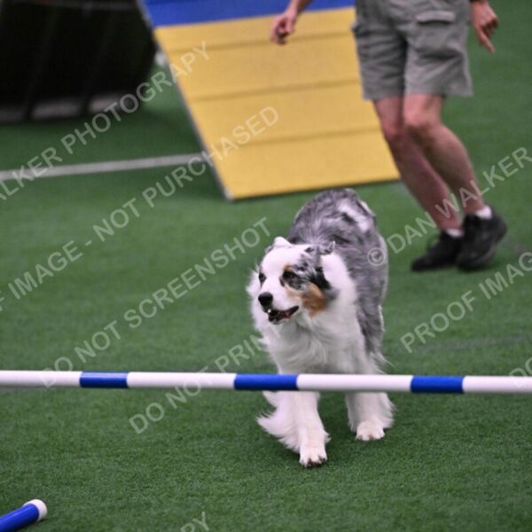 Sunny-Claudia-Brydon-10603