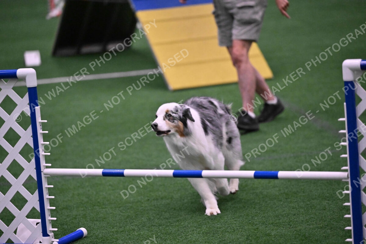 Sunny-Claudia-Brydon-10604