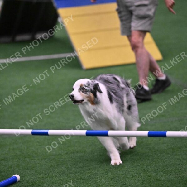 Sunny-Claudia-Brydon-10604