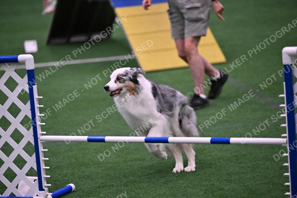 Sunny-Claudia-Brydon-10605