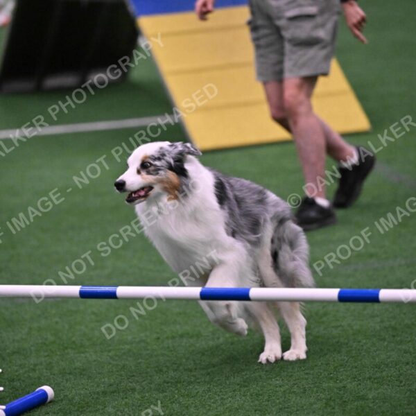 Sunny-Claudia-Brydon-10605