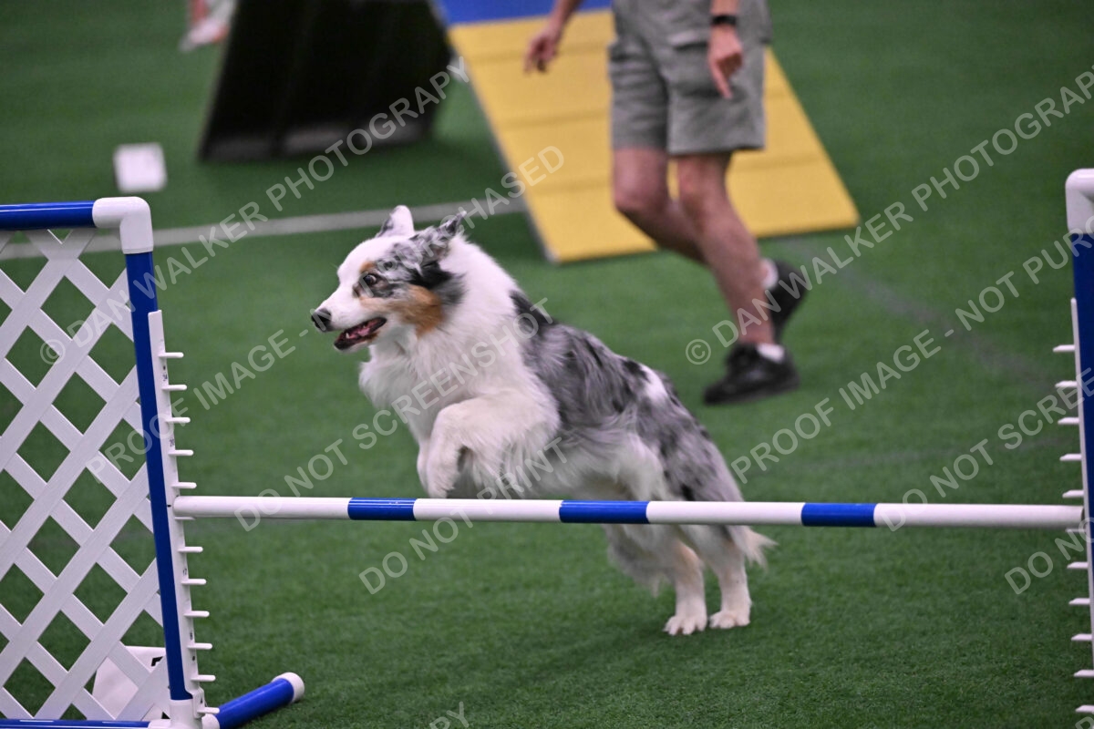 Sunny-Claudia-Brydon-10606