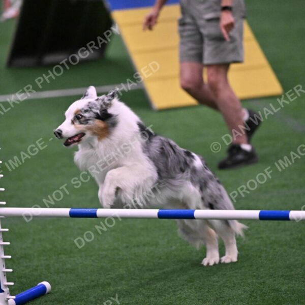 Sunny-Claudia-Brydon-10606