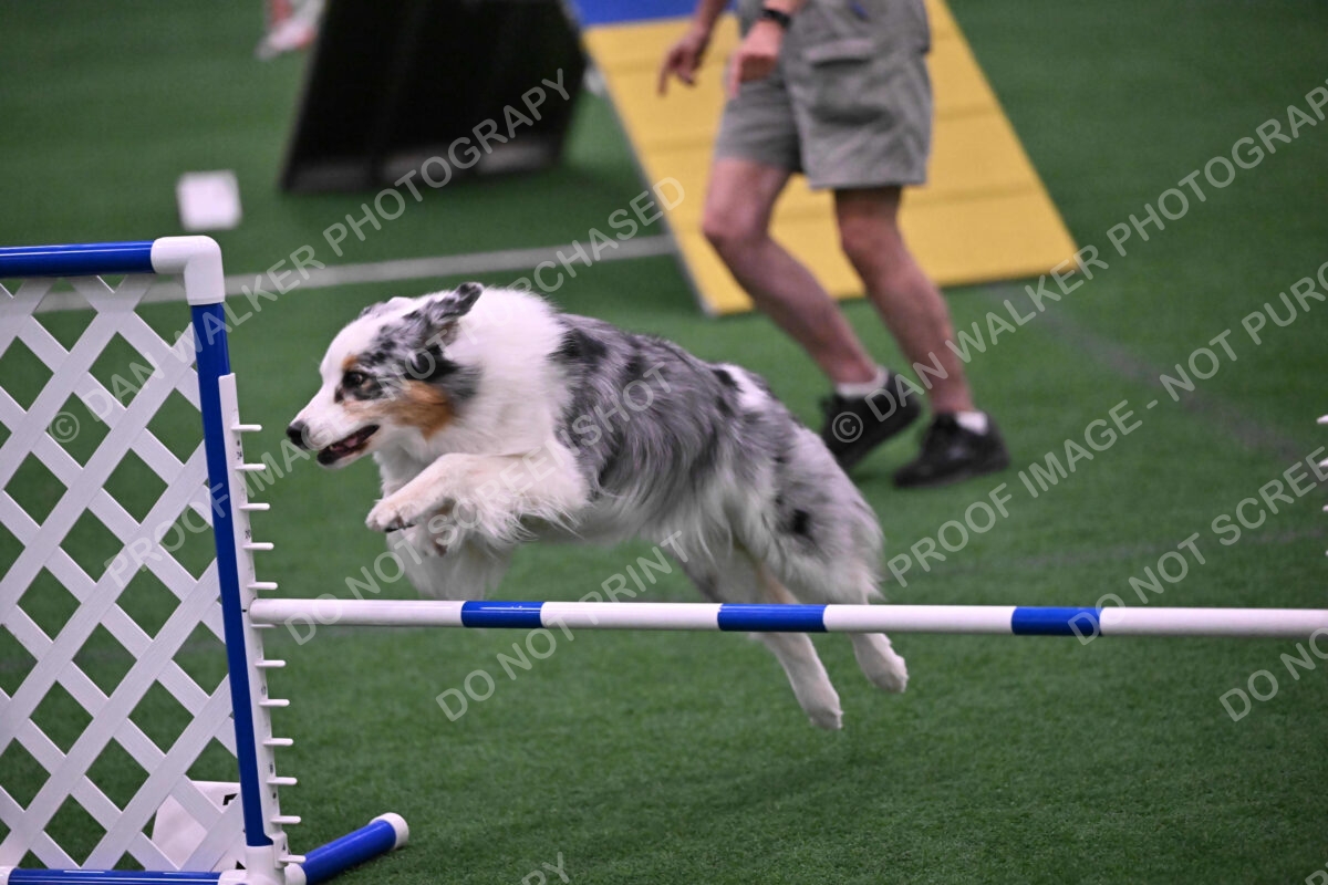 Sunny-Claudia-Brydon-10607