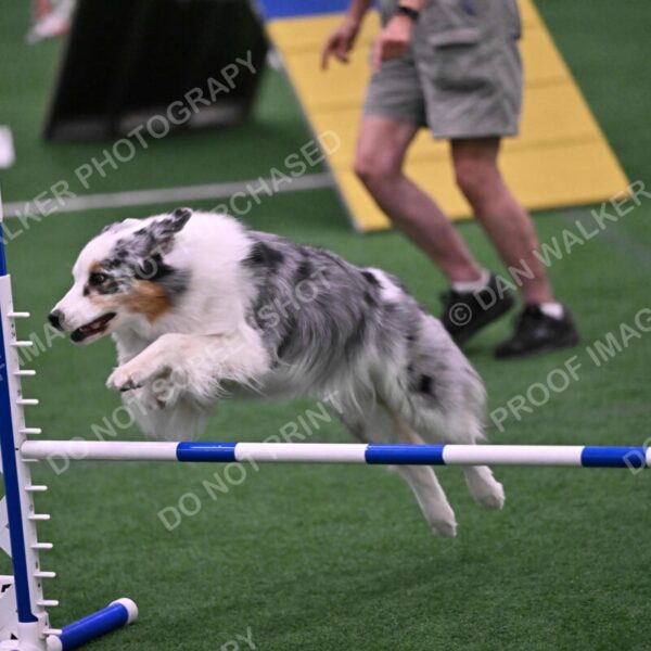 Sunny-Claudia-Brydon-10607