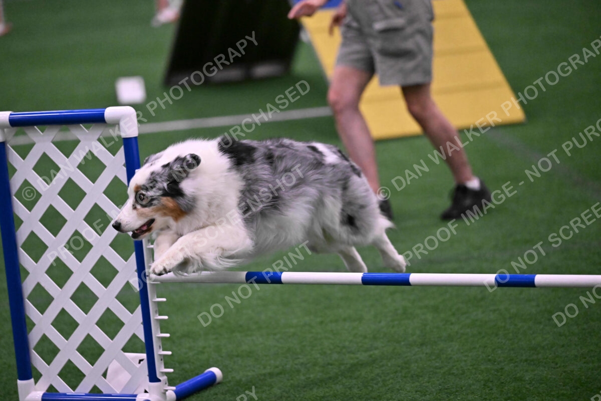 Sunny-Claudia-Brydon-10608