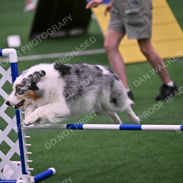 Sunny-Claudia-Brydon-10608