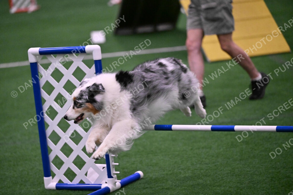 Sunny-Claudia-Brydon-10609