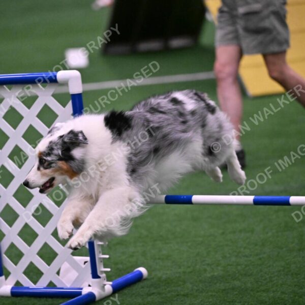 Sunny-Claudia-Brydon-10609