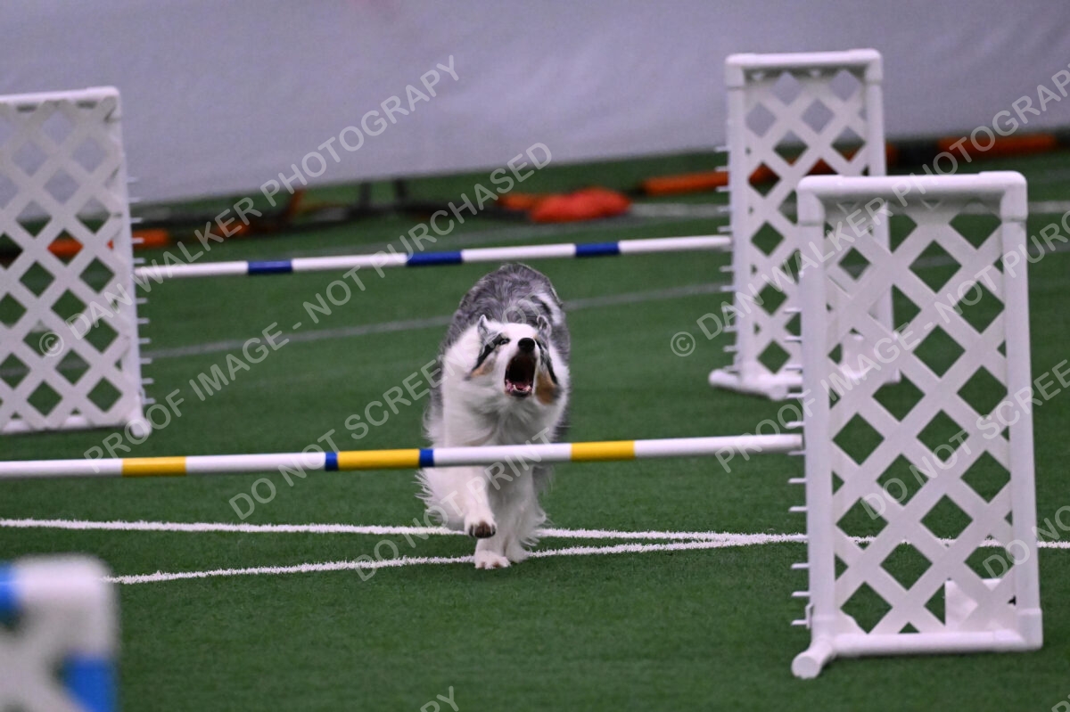 Sunny-Claudia-Brydon-10614