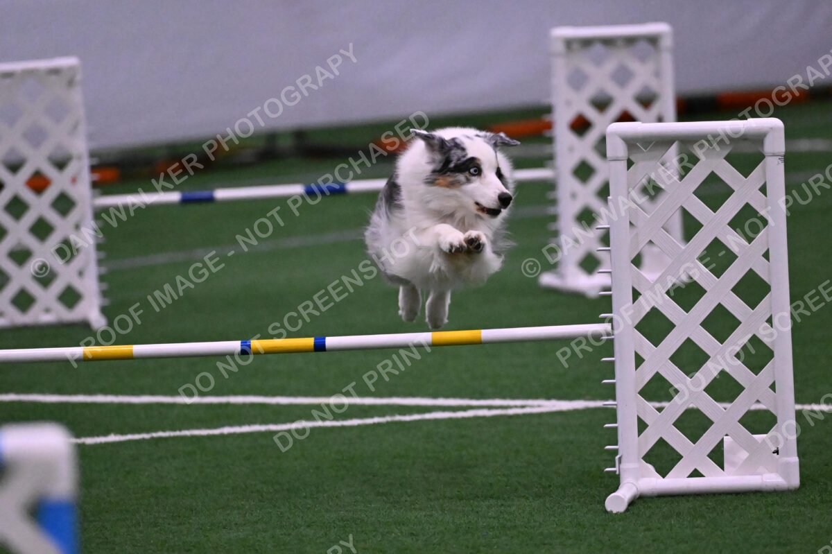 Sunny-Claudia-Brydon-10618