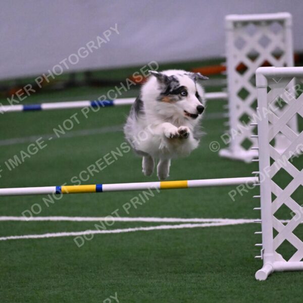 Sunny-Claudia-Brydon-10618