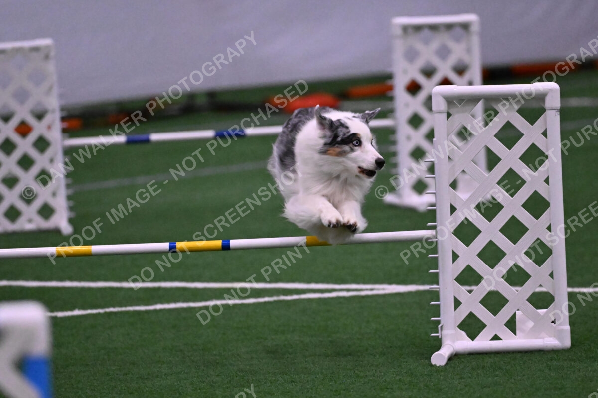 Sunny-Claudia-Brydon-10619