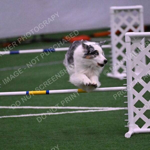 Sunny-Claudia-Brydon-10619