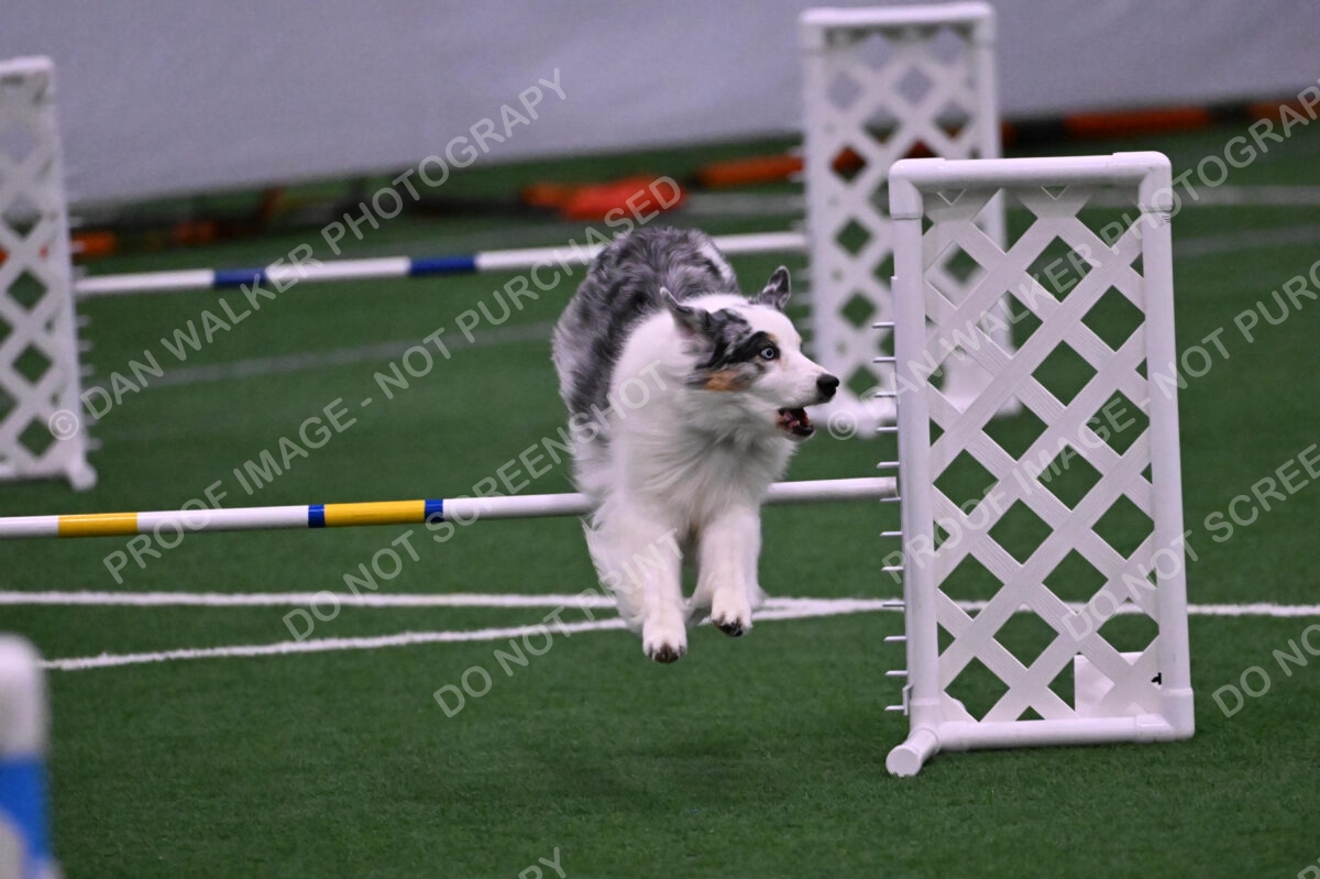 Sunny-Claudia-Brydon-10620