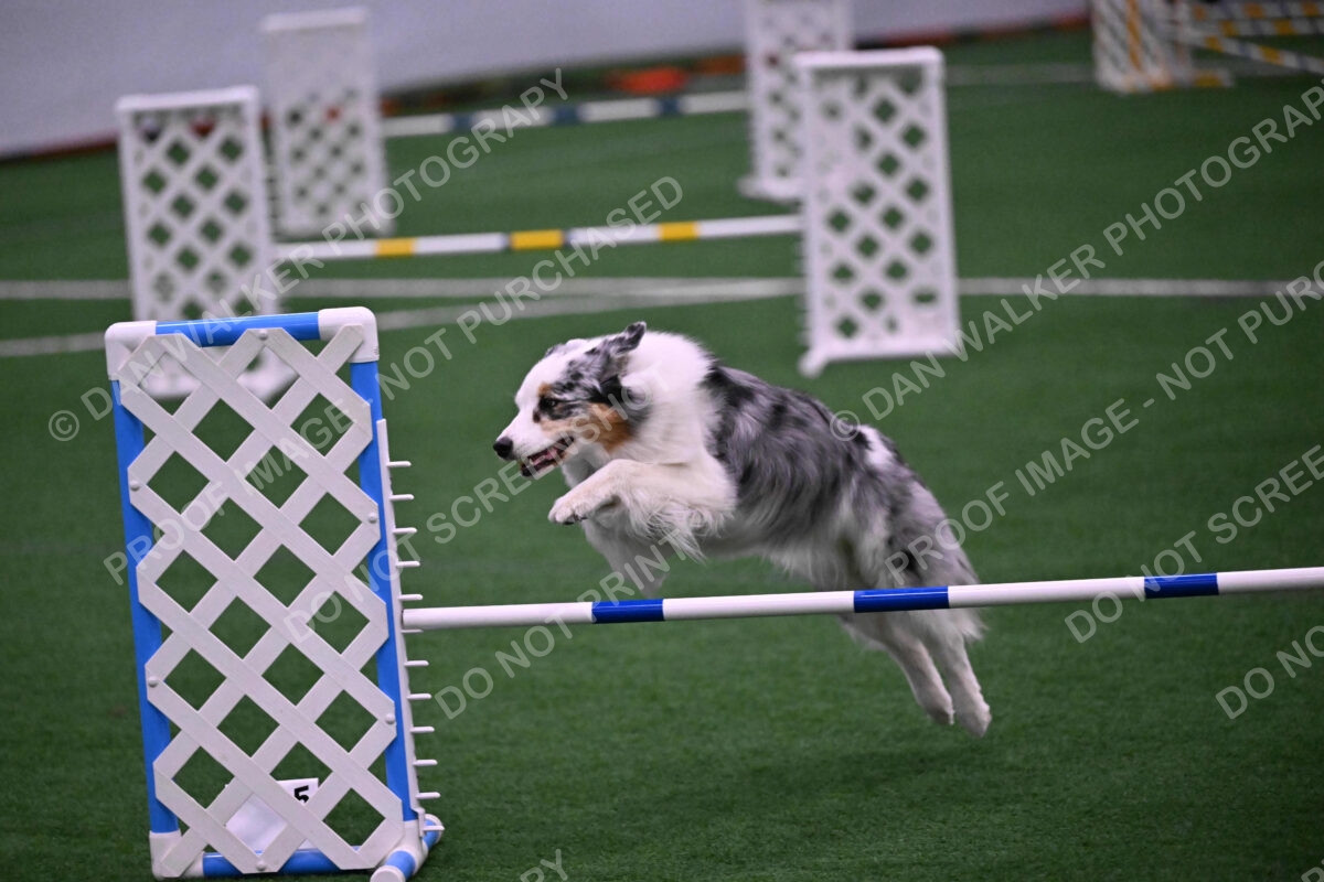 Sunny-Claudia-Brydon-10627