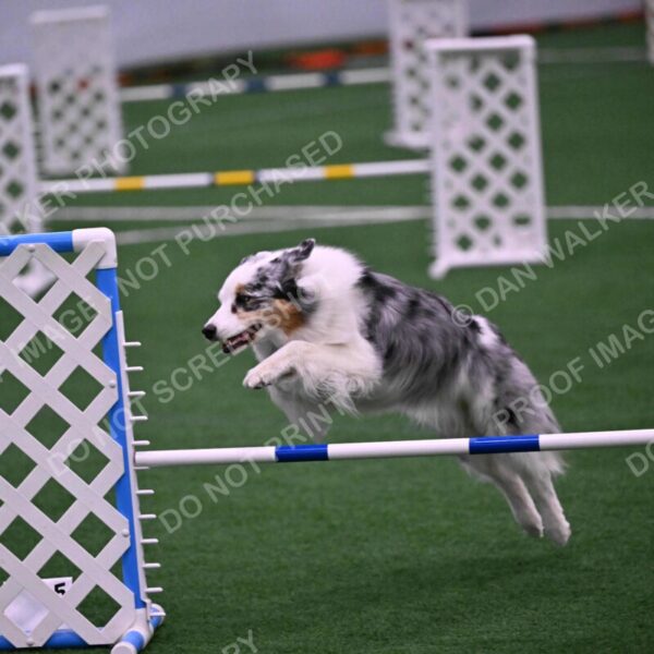 Sunny-Claudia-Brydon-10627