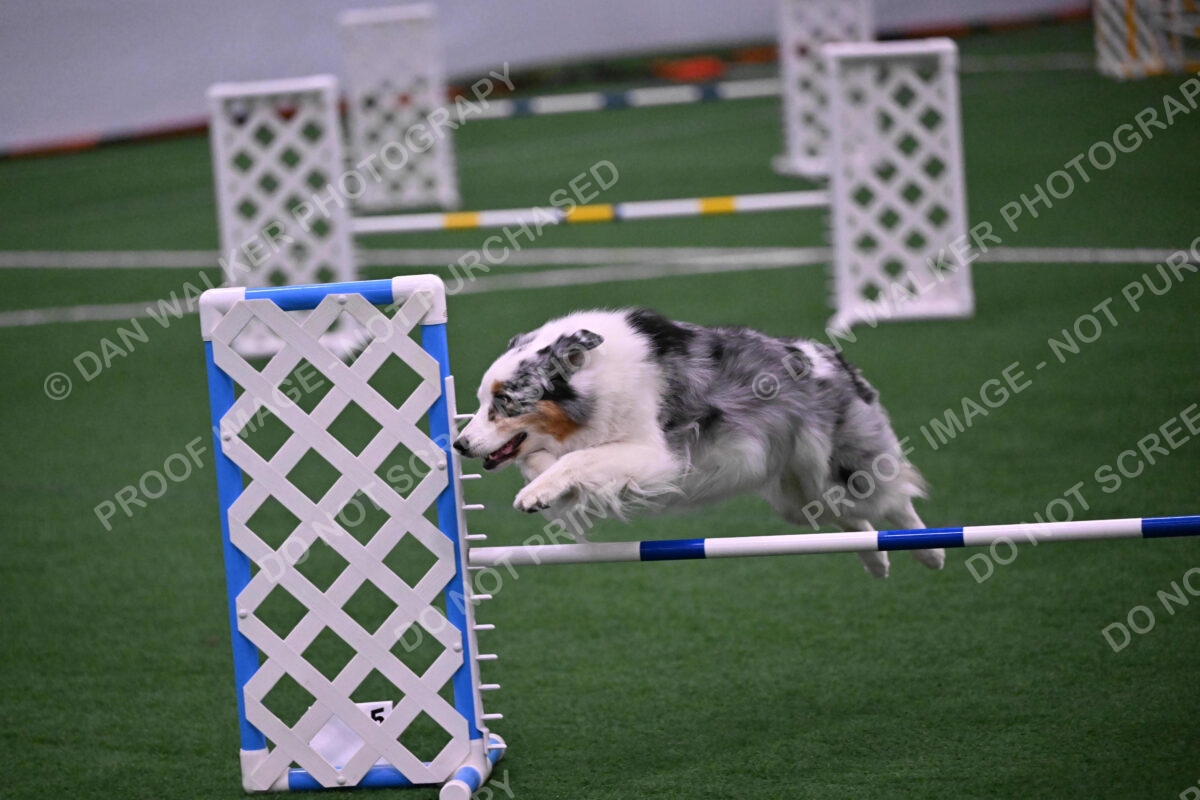 Sunny-Claudia-Brydon-10628