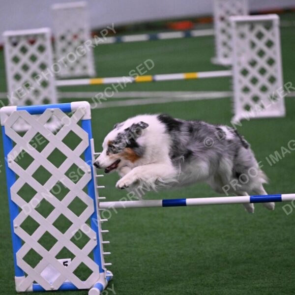 Sunny-Claudia-Brydon-10628