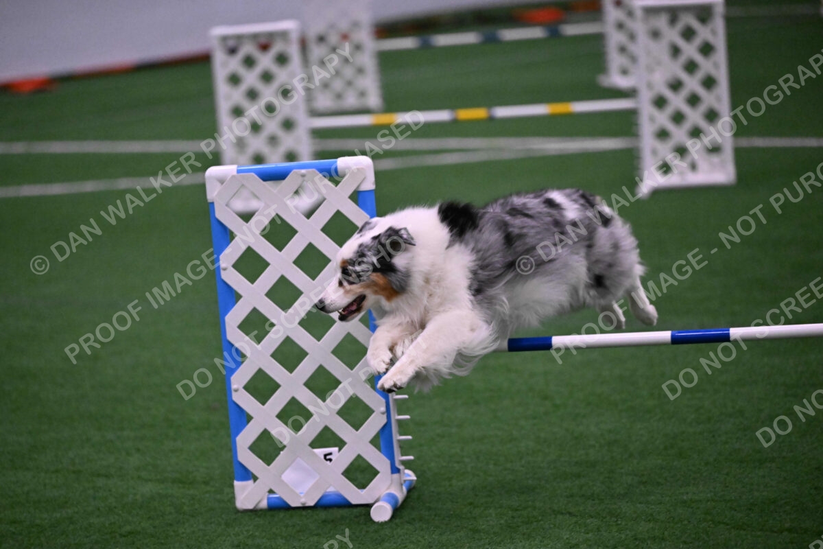 Sunny-Claudia-Brydon-10629