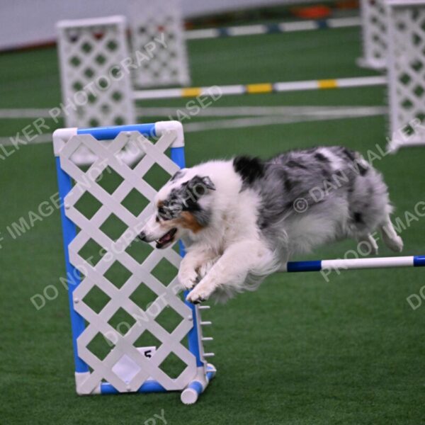 Sunny-Claudia-Brydon-10629