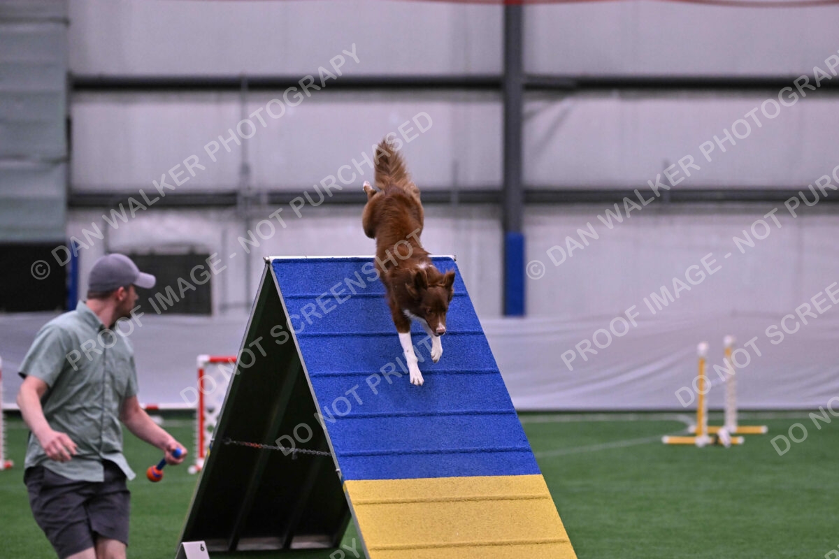 Supernova-James-Nutter-06938