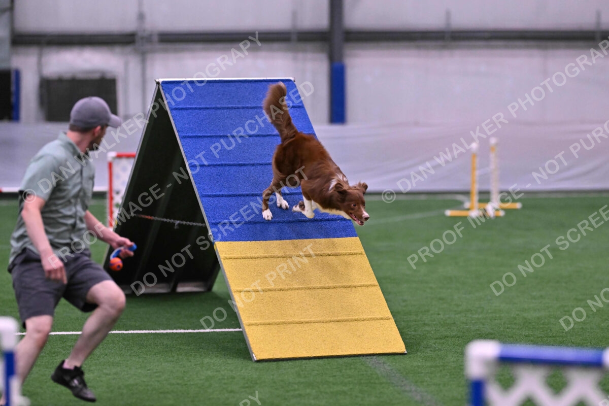 Supernova-James-Nutter-06941