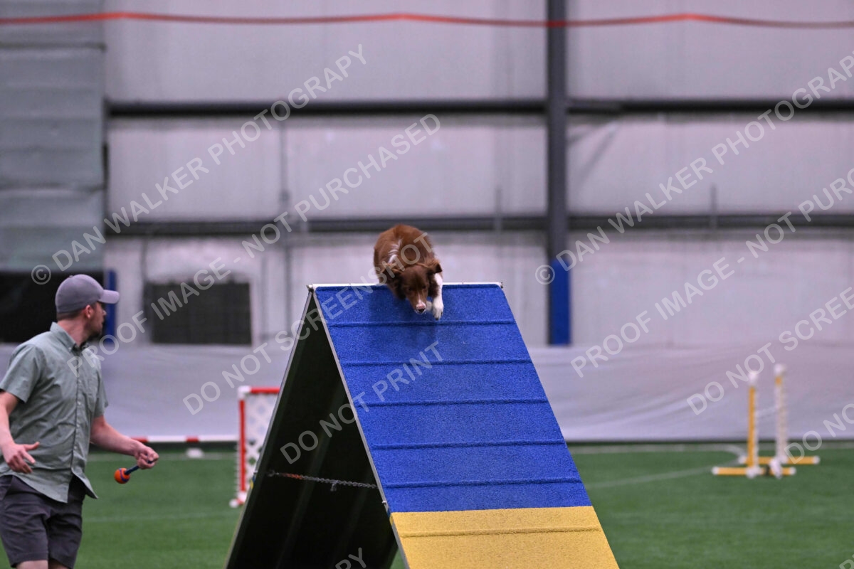 Supernova-James-Nutter-06944