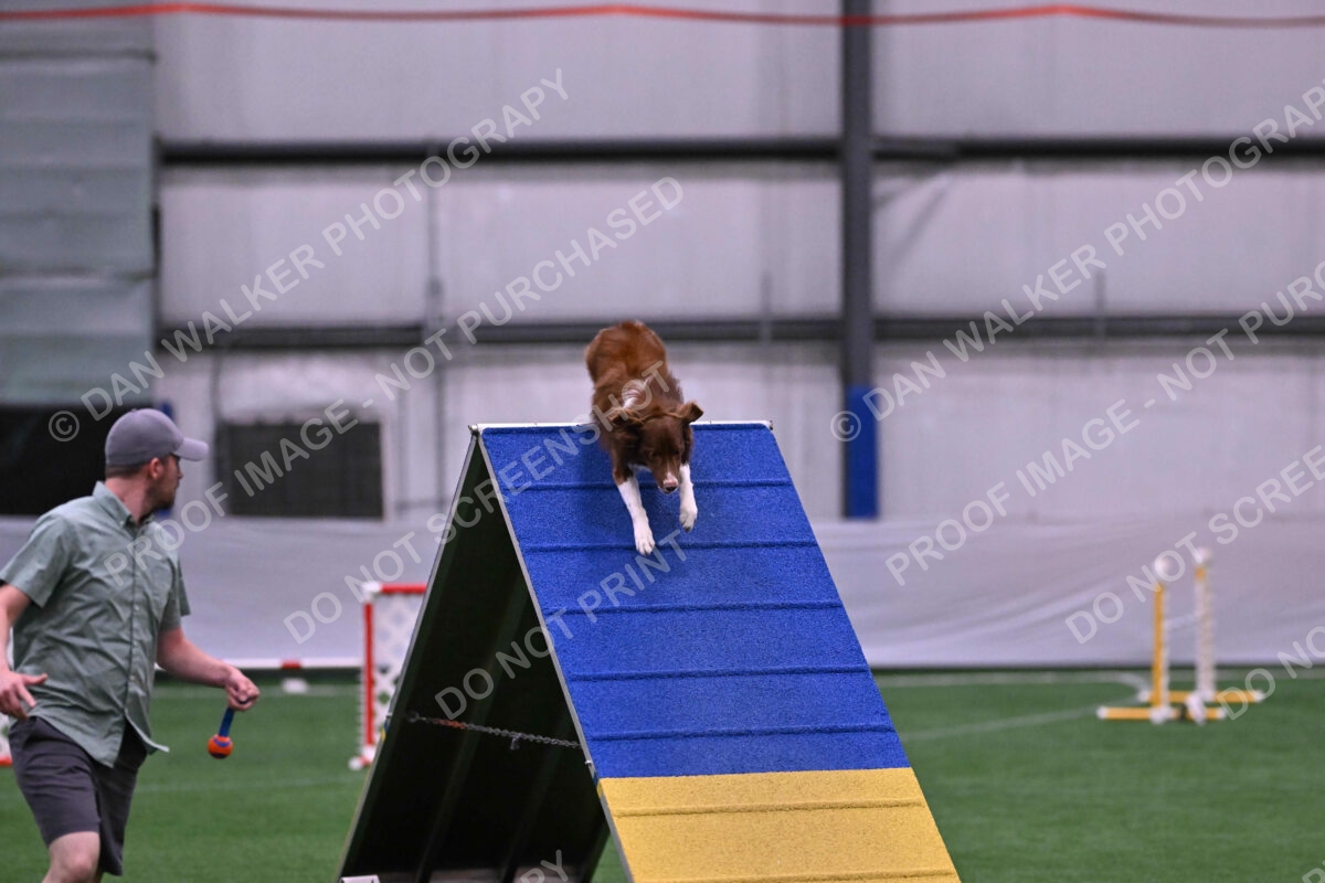 Supernova-James-Nutter-06945