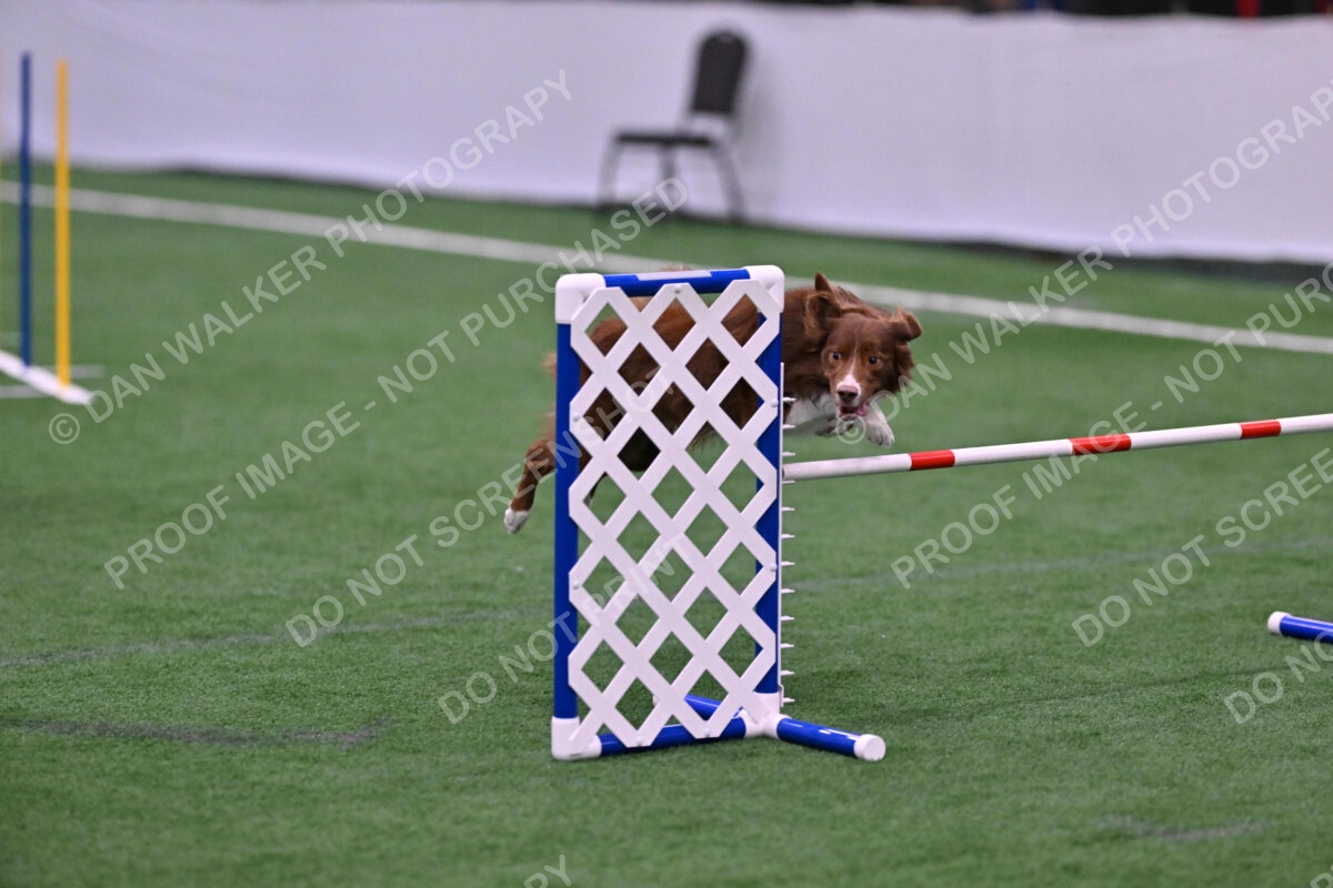 Supernova-James-Nutter-06948