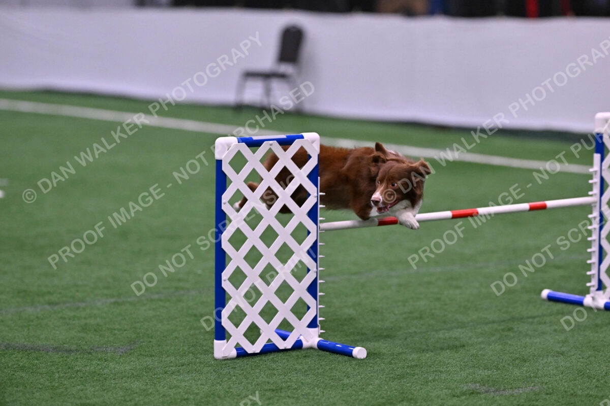 Supernova-James-Nutter-06949