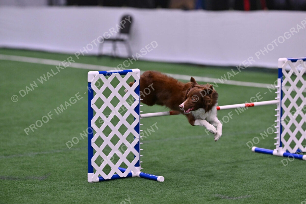 Supernova-James-Nutter-06950