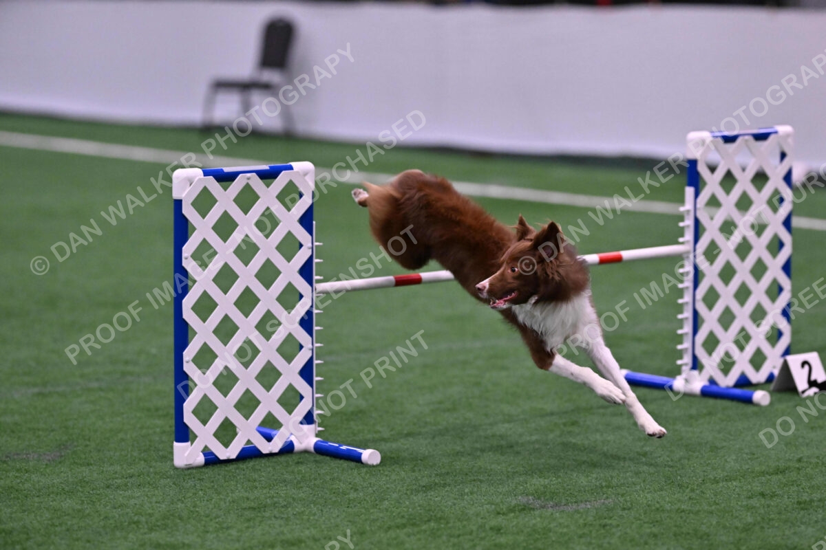 Supernova-James-Nutter-06951