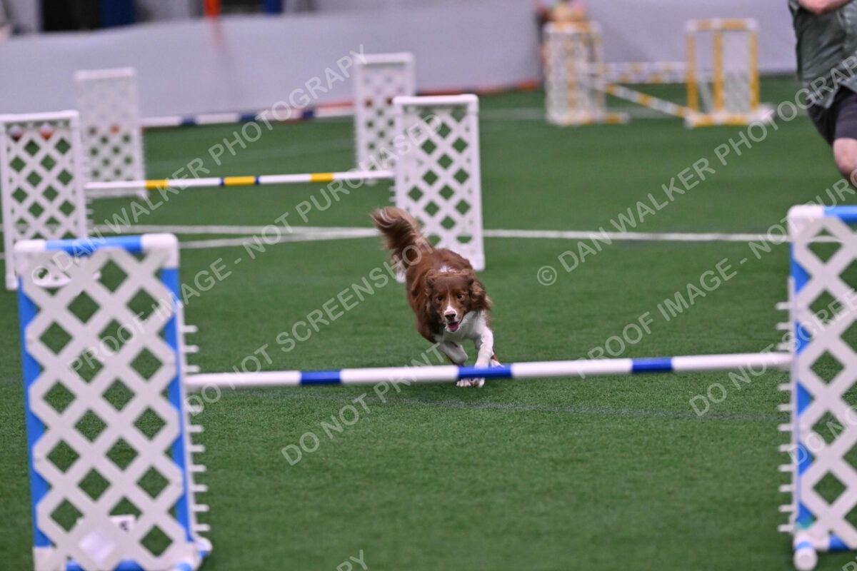 Supernova-James-Nutter-06955