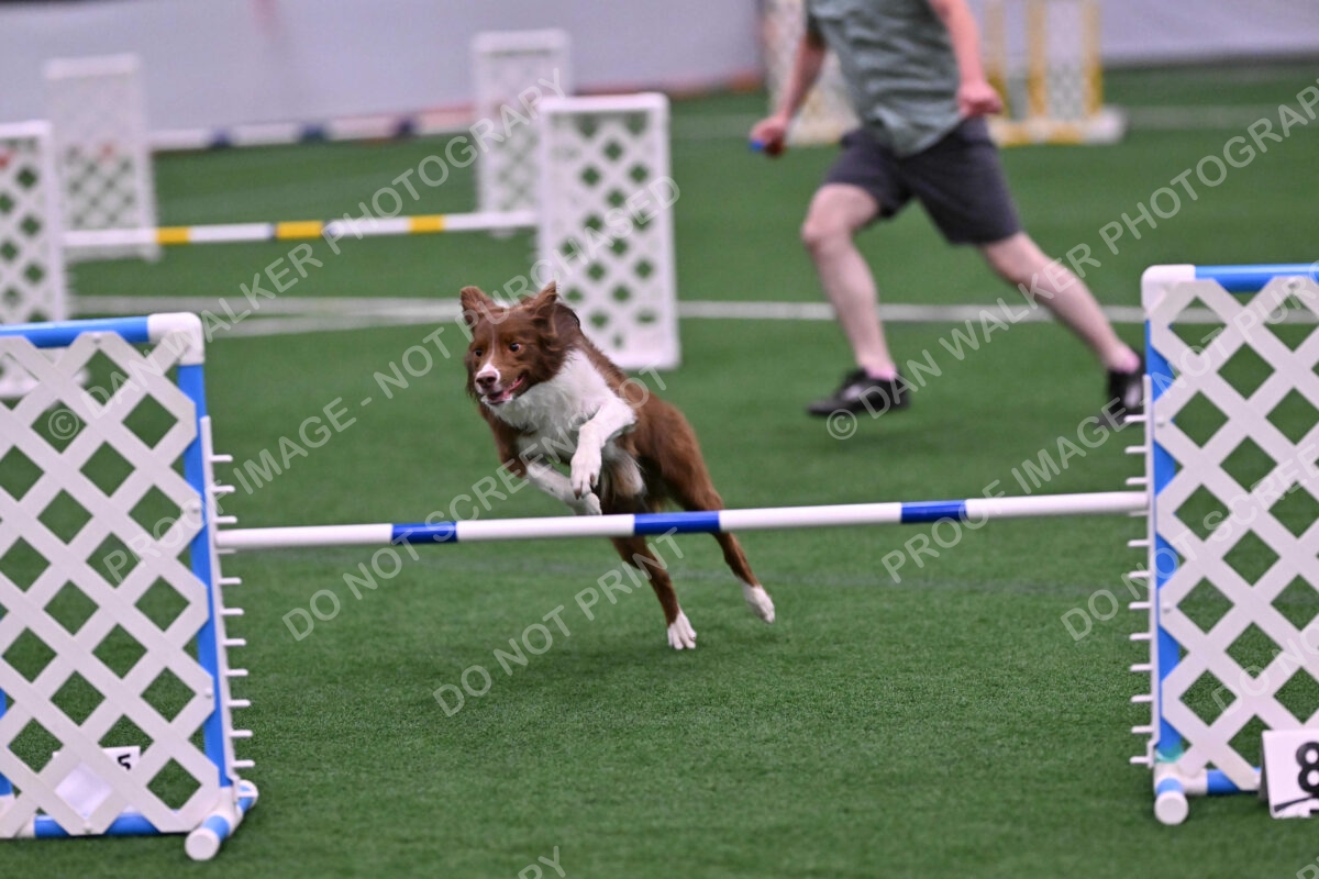 Supernova-James-Nutter-06960